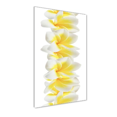 Photo printed on glass Plumeria