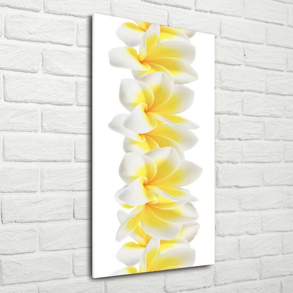 Photo printed on glass Plumeria