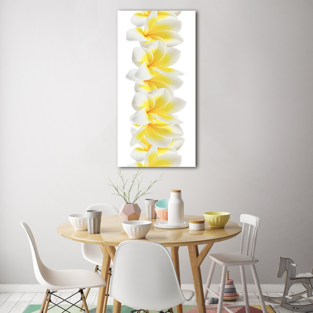 Photo printed on glass Plumeria