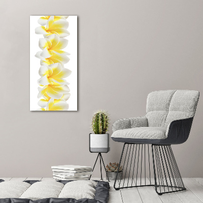 Photo printed on glass Plumeria