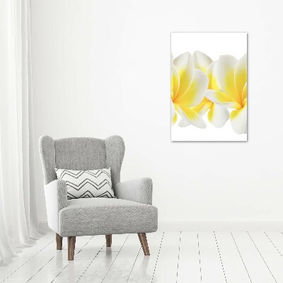 Photo printed on glass Plumeria