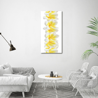 Photo printed on glass Plumeria