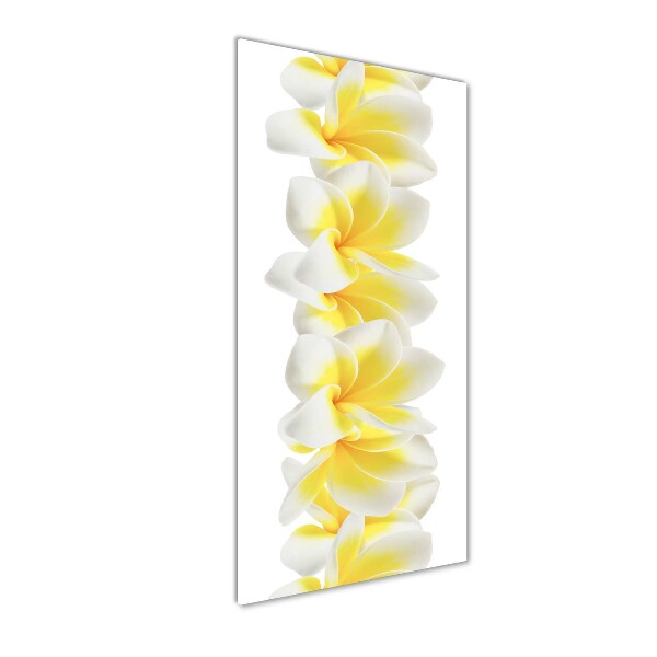 Photo printed on glass Plumeria