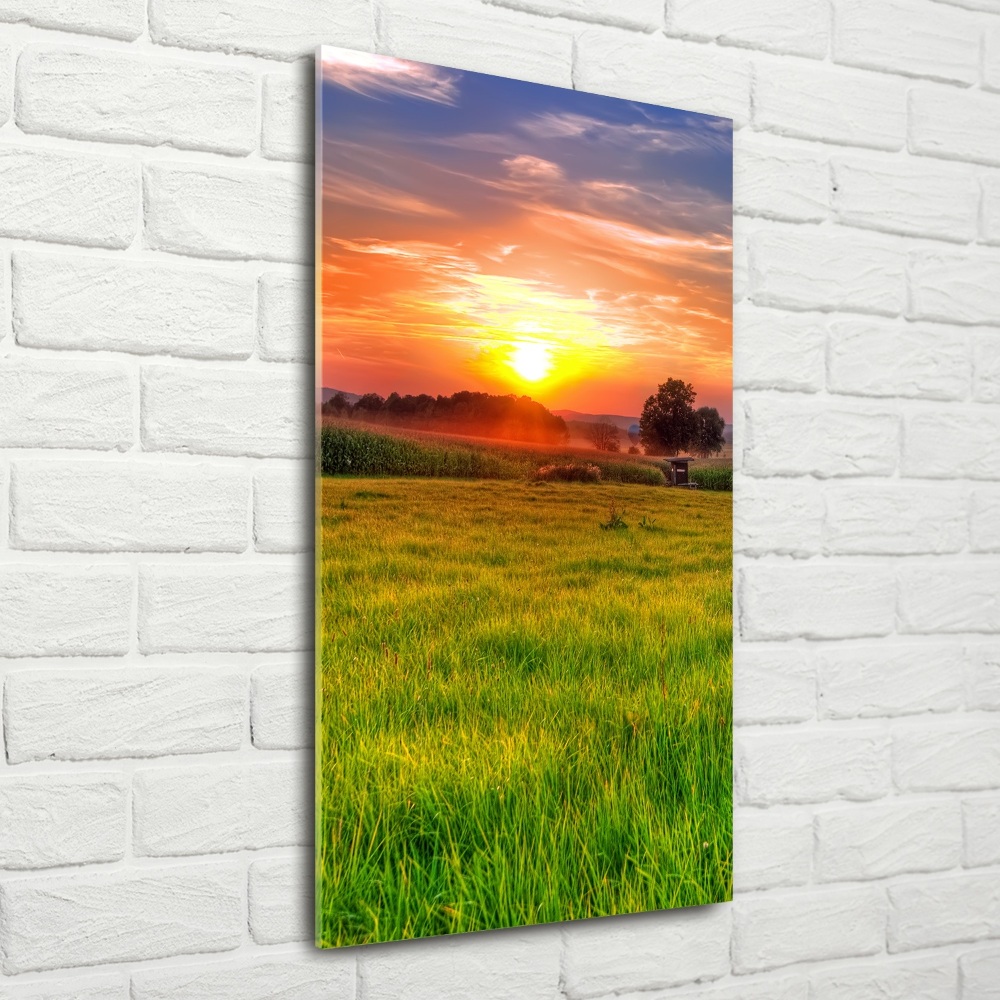 Glass picture wall art Sunset