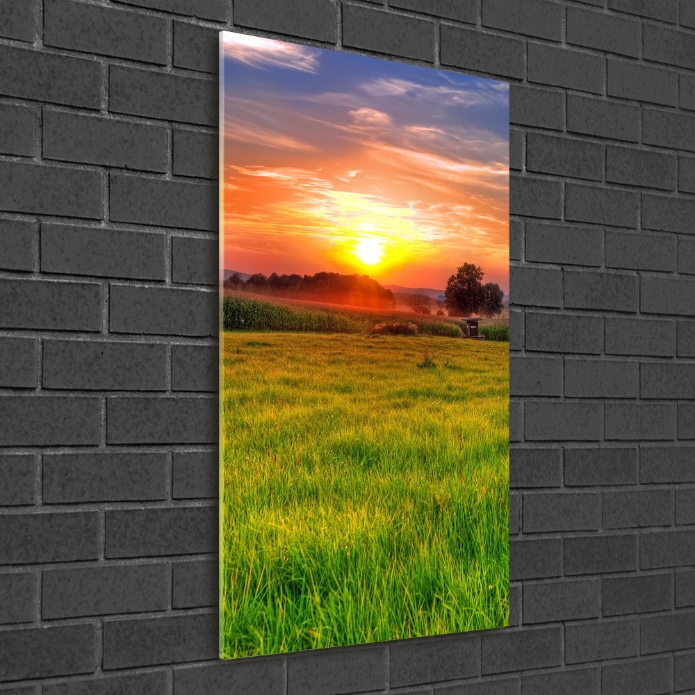 Glass picture wall art Sunset