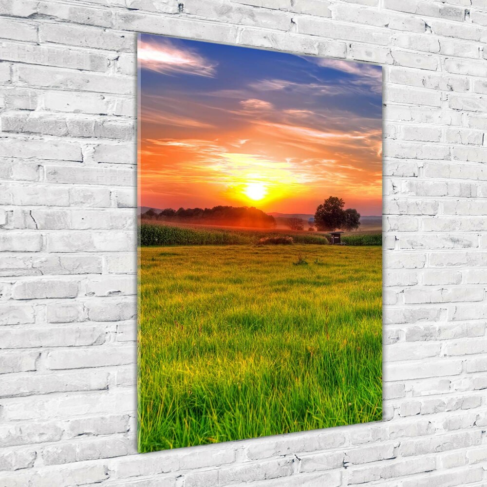 Glass picture wall art Sunset