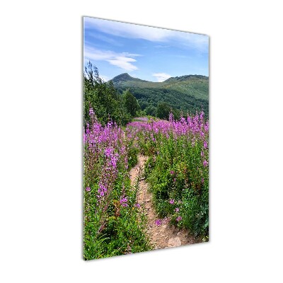 Glass picture wall art Bieszczady Mountains