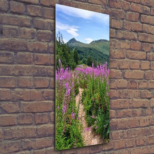 Glass picture wall art Bieszczady Mountains