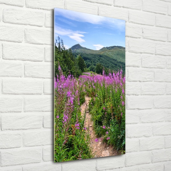 Glass picture wall art Bieszczady Mountains