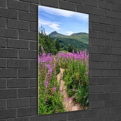 Glass picture wall art Bieszczady Mountains