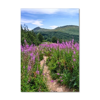 Glass picture wall art Bieszczady Mountains