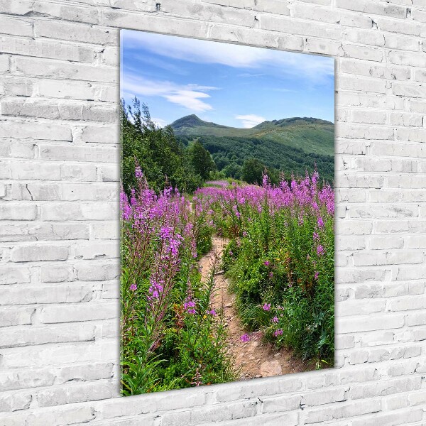 Glass picture wall art Bieszczady Mountains