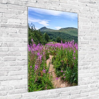 Glass picture wall art Bieszczady Mountains