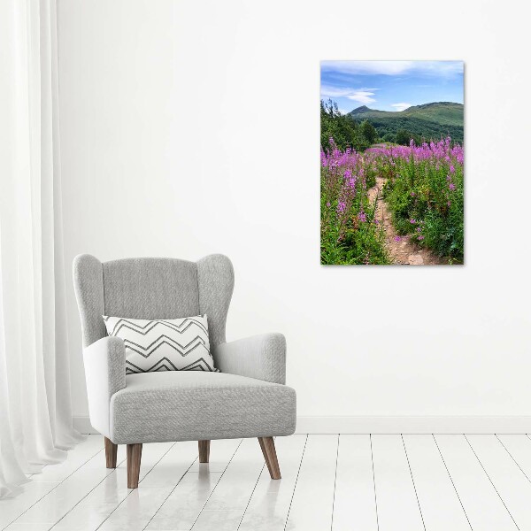 Glass picture wall art Bieszczady Mountains