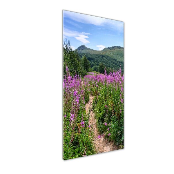 Glass picture wall art Bieszczady Mountains