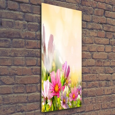 Photo printed on glass Field flowers