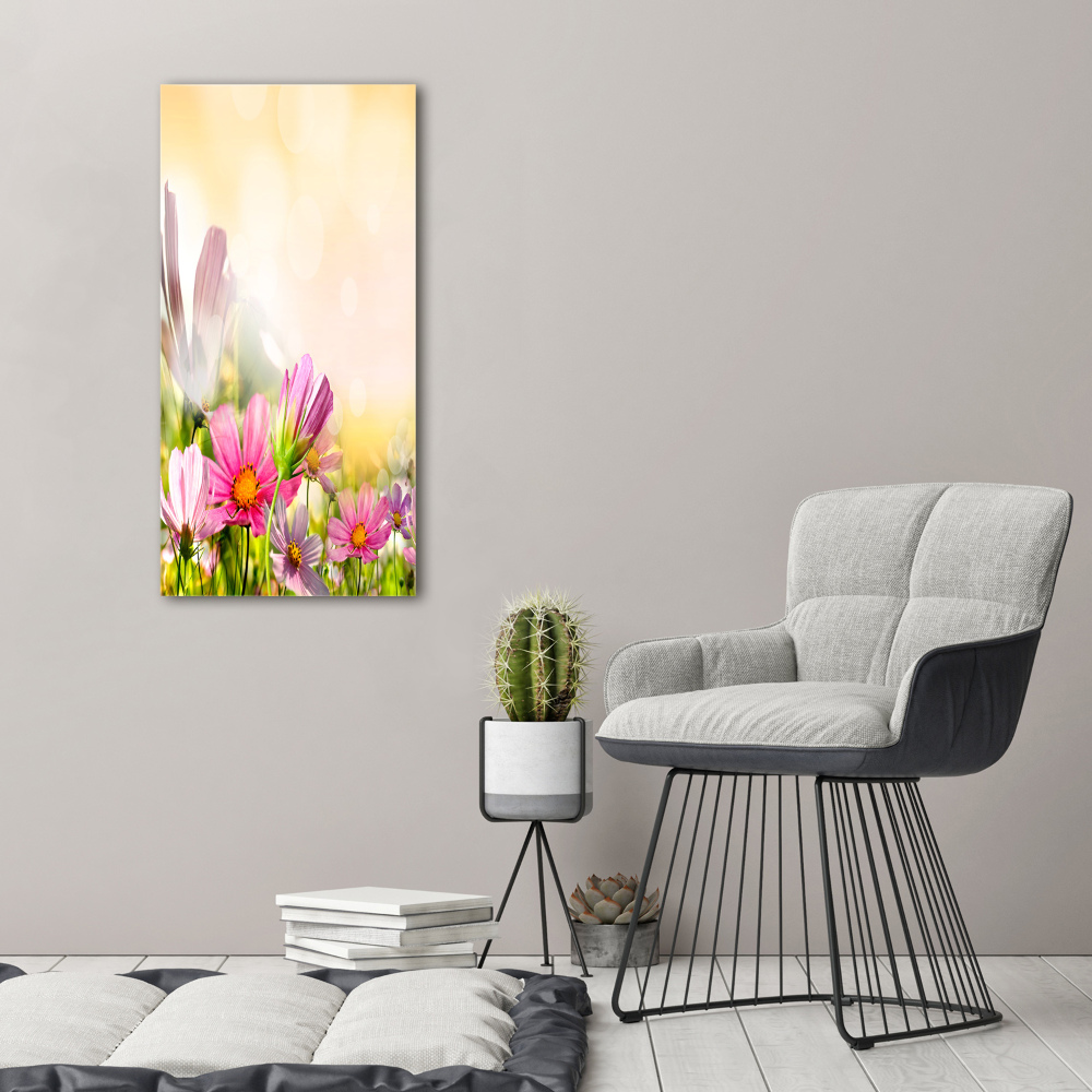 Photo printed on glass Field flowers