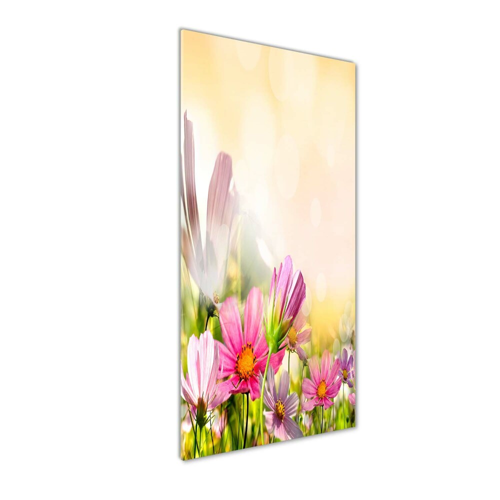 Photo printed on glass Field flowers