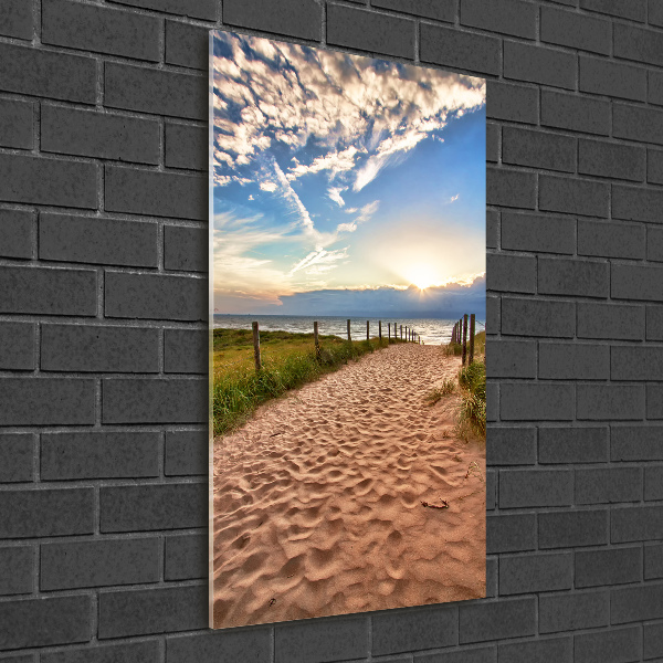 Printed glass wall art Path to the beach