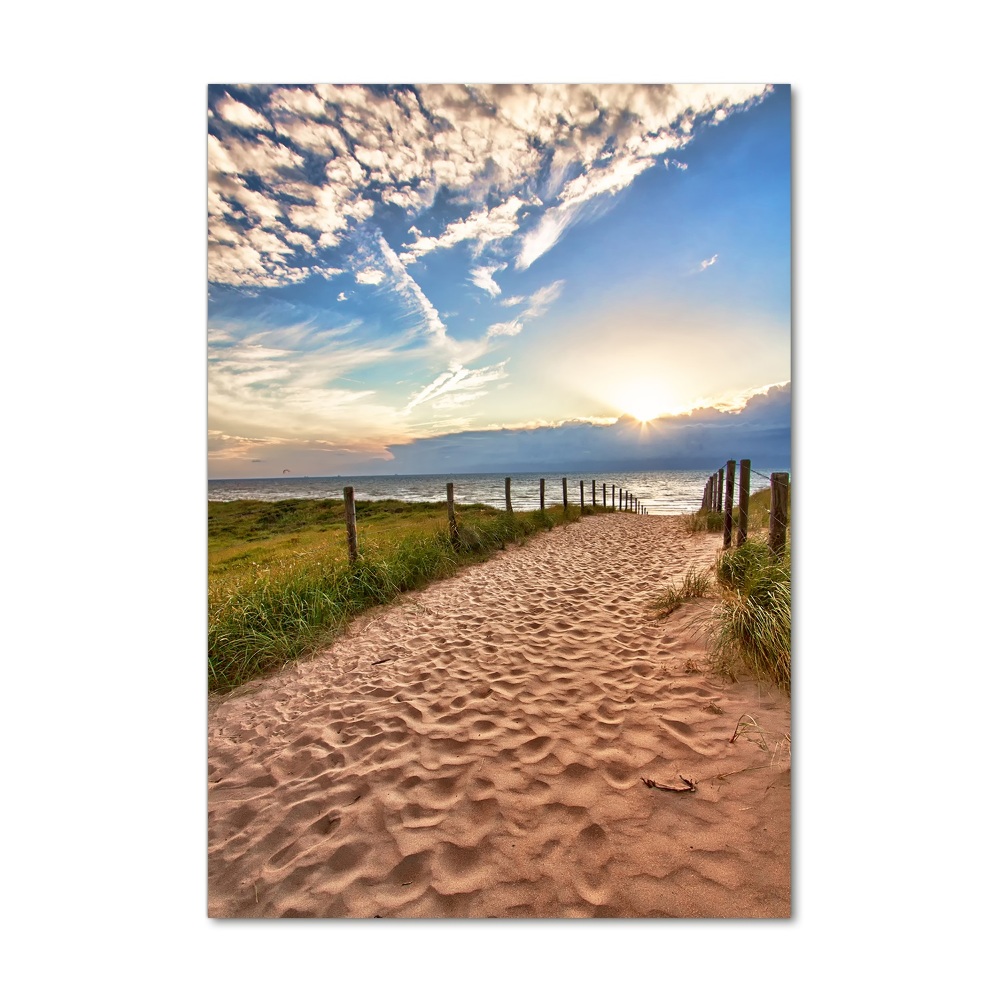 Printed glass wall art Path to the beach