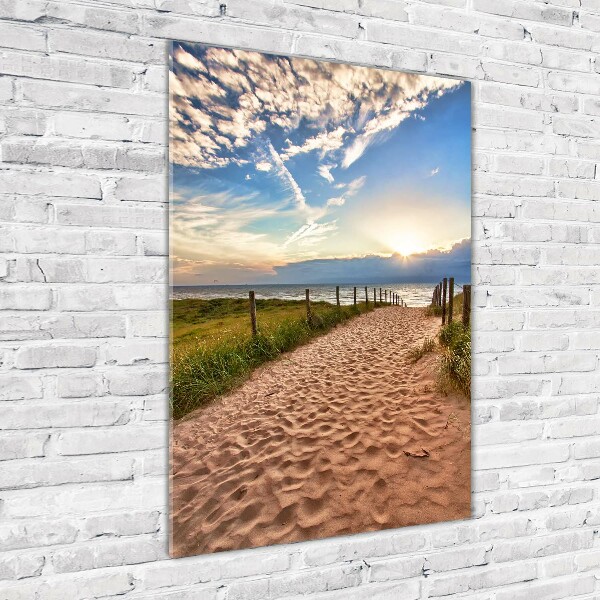 Printed glass wall art Path to the beach