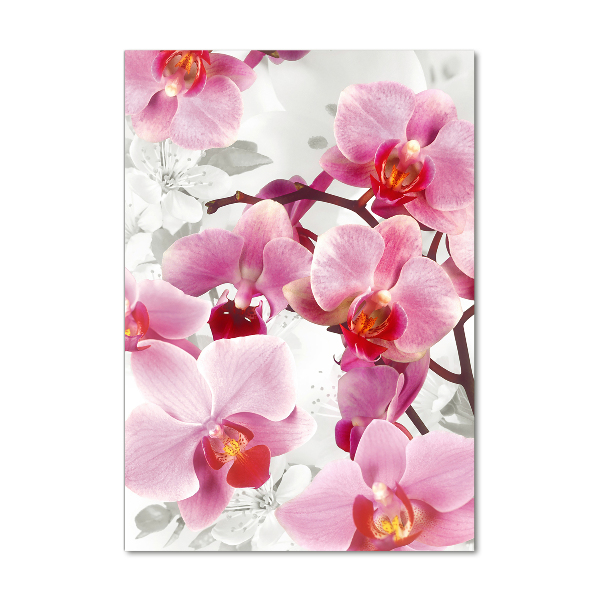 Photo printed on glass Pink orchid