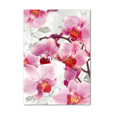 Photo printed on glass Pink orchid