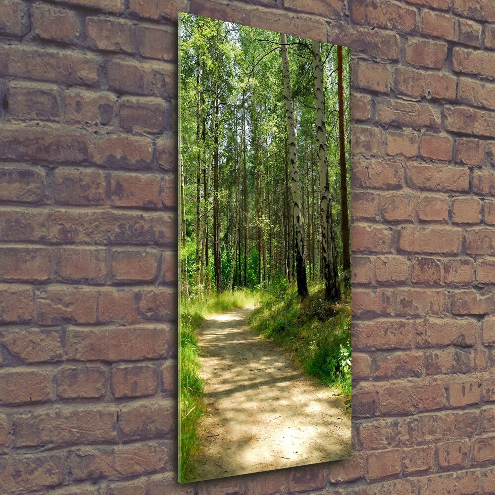 Wall art on glass Birch forest