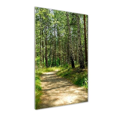 Wall art on glass Birch forest