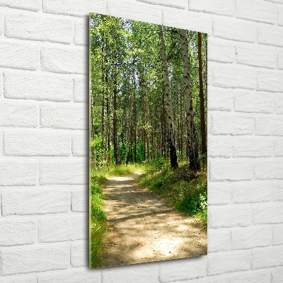 Wall art on glass Birch forest