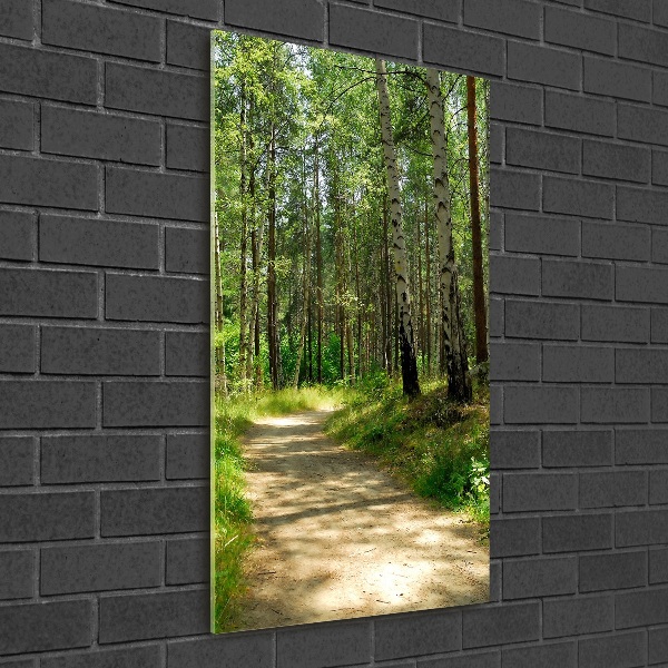 Wall art on glass Birch forest