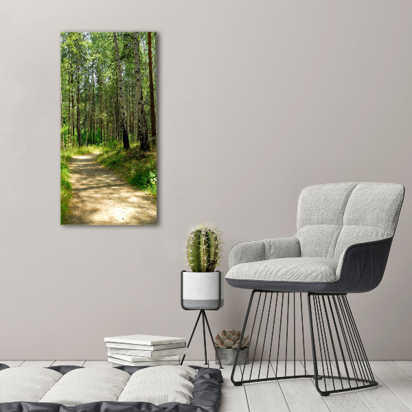 Wall art on glass Birch forest