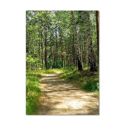 Wall art on glass Birch forest