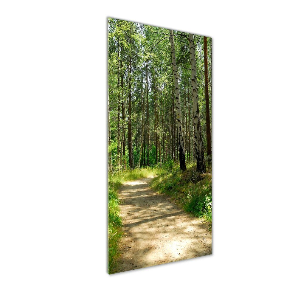 Wall art on glass Birch forest