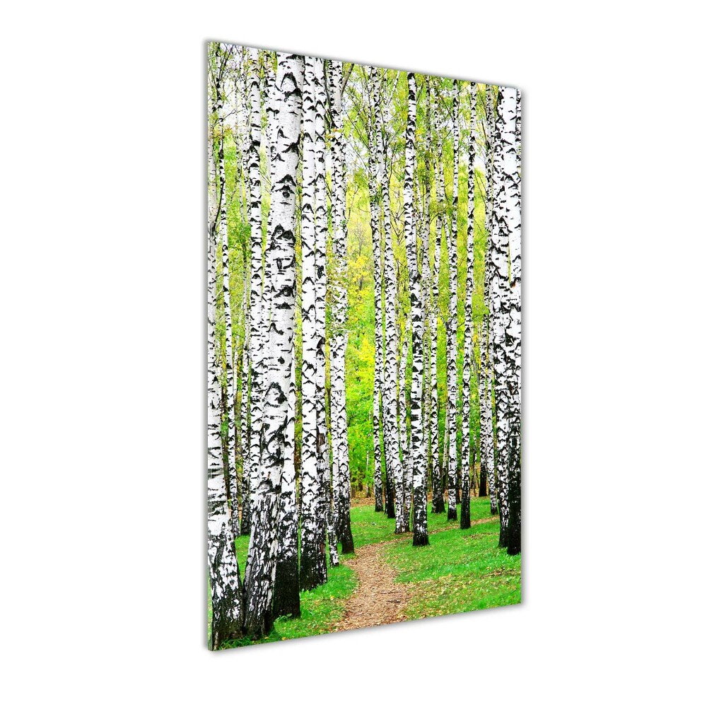 Glass wall art Birch forest