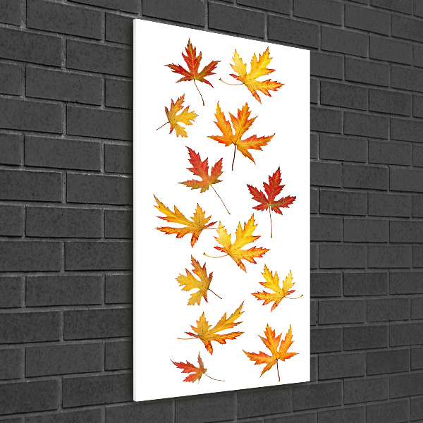 Photo printed on glass Autumn leaves