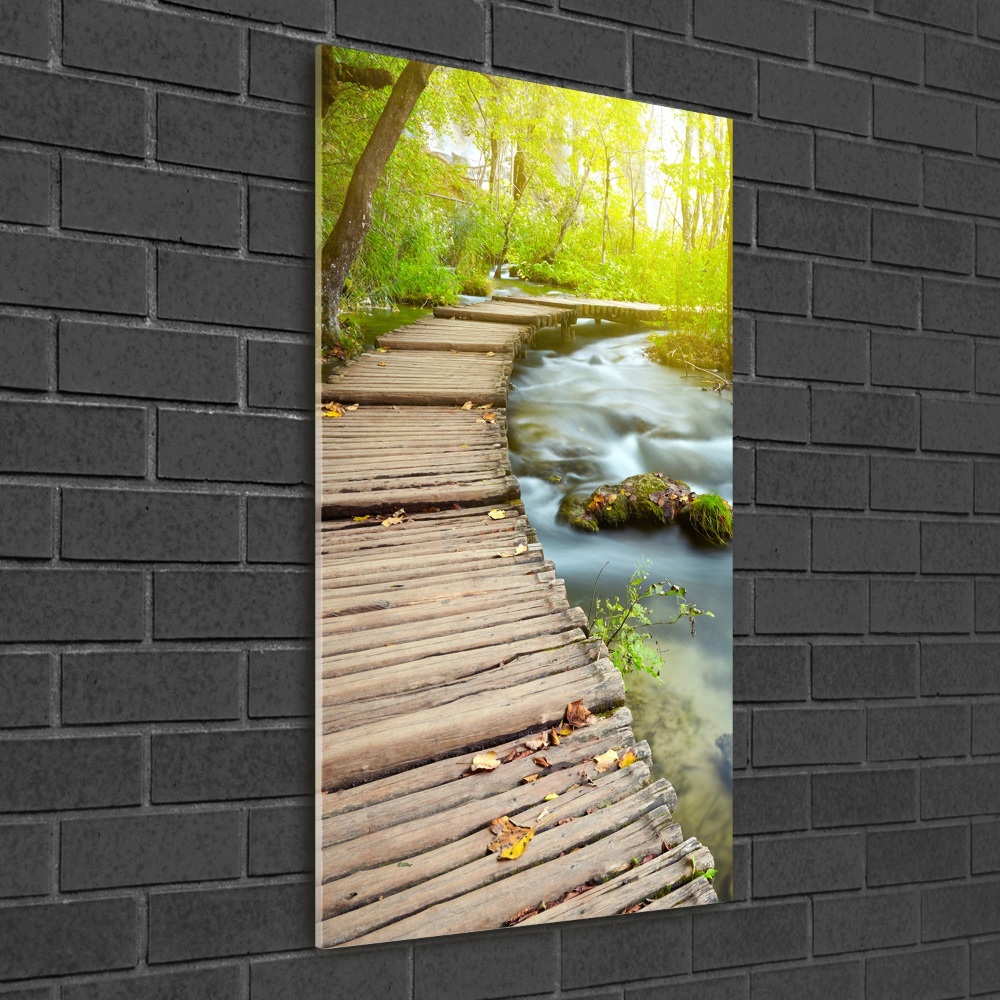 Glass wall art Path in the forest