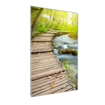 Glass wall art Path in the forest