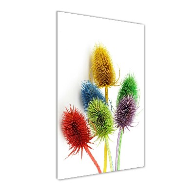 Photo printed on glass Thistle