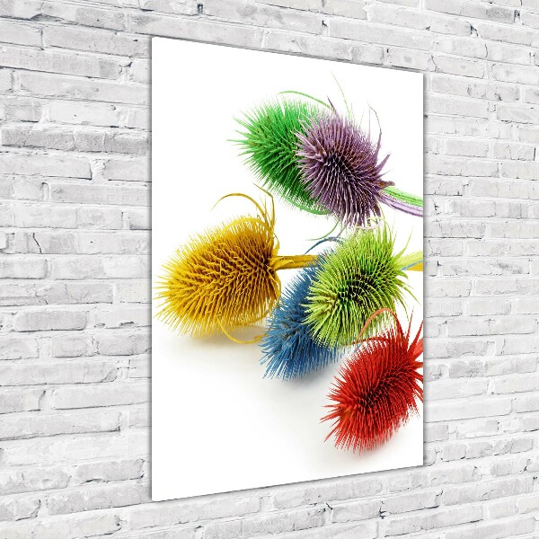 Photo printed on glass Thistle