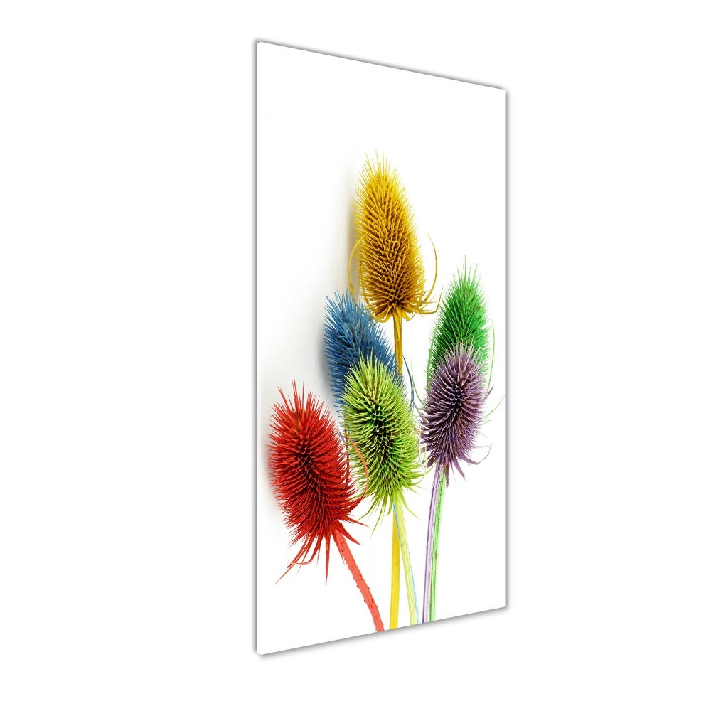 Photo printed on glass Thistle