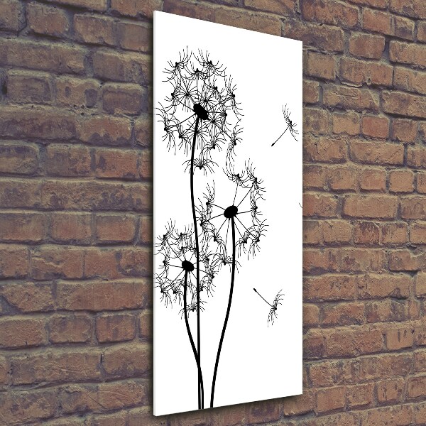 Photo printed on glass dandelions