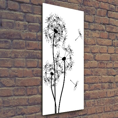 Photo printed on glass dandelions