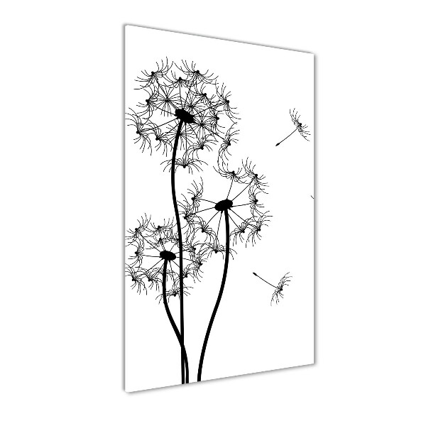 Photo printed on glass dandelions