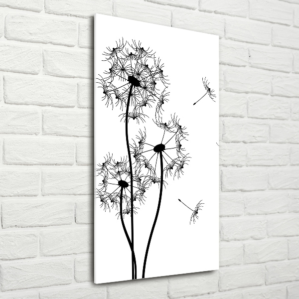 Photo printed on glass dandelions