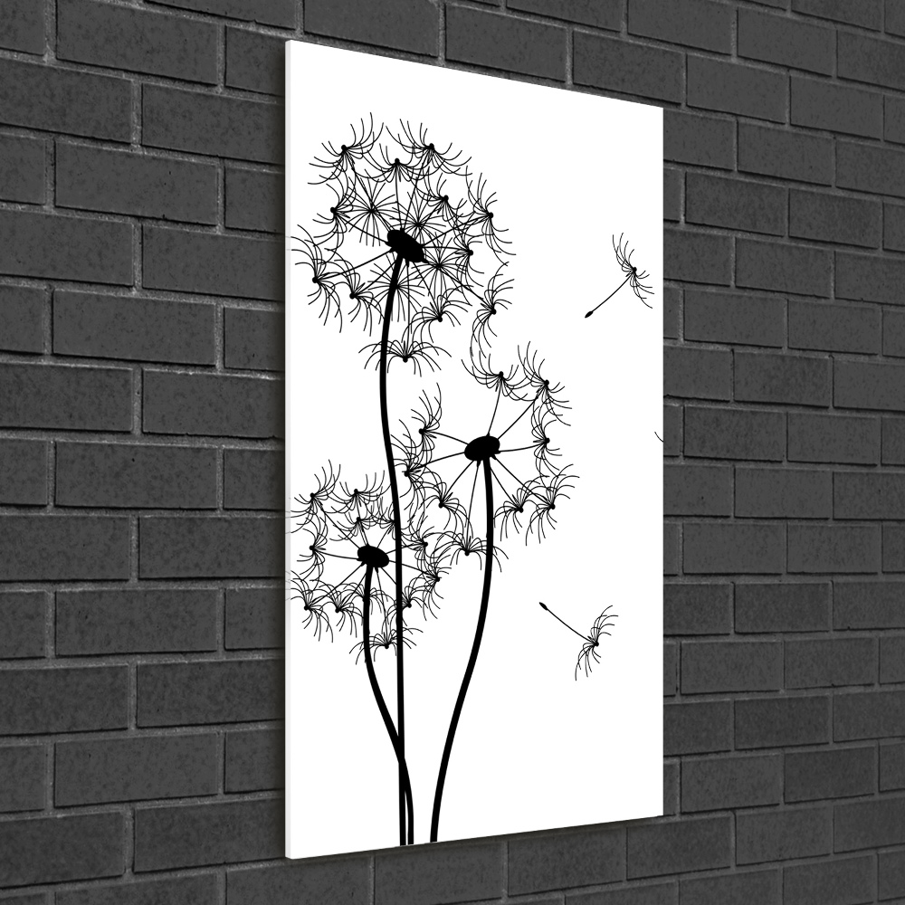 Photo printed on glass dandelions