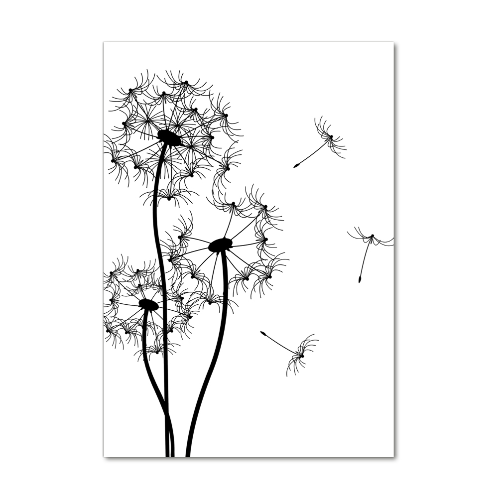 Photo printed on glass dandelions