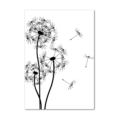 Photo printed on glass dandelions