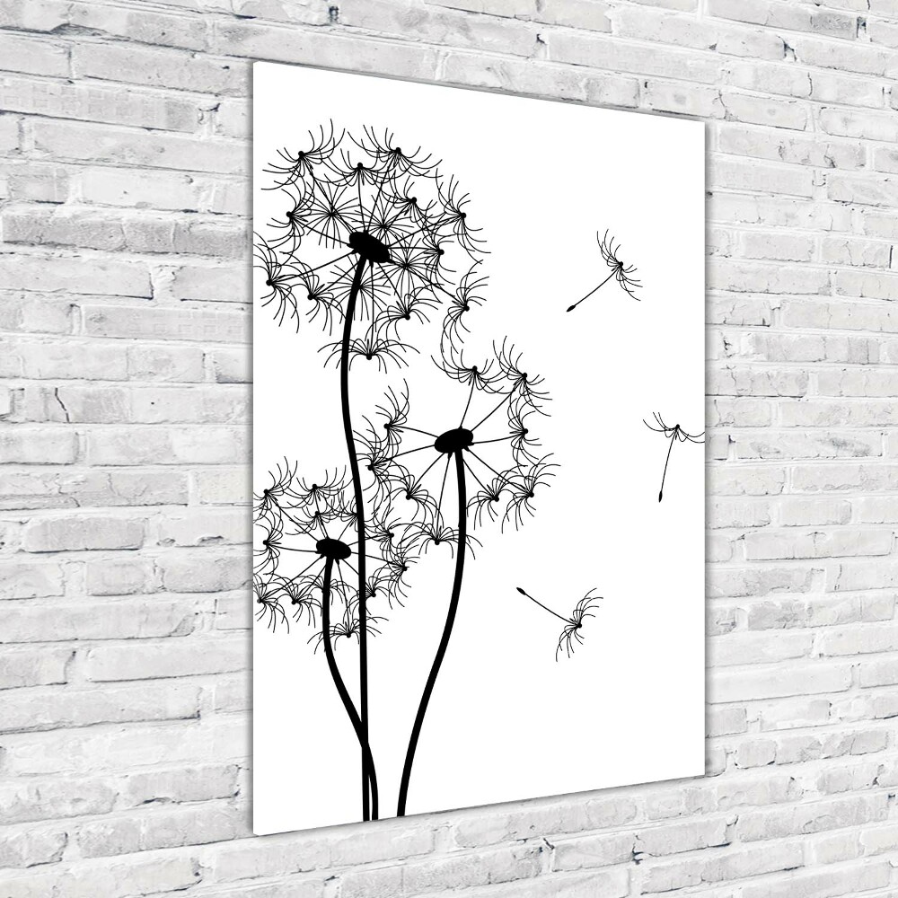 Photo printed on glass dandelions