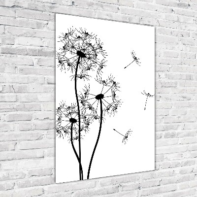 Photo printed on glass dandelions